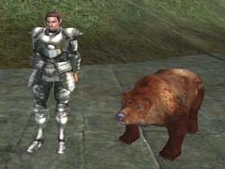Bear Companion